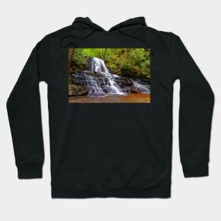 Laurel Falls in the Great Smoky Mountains Hoodie